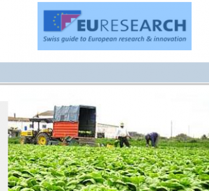 Euresearch Homepage_20133